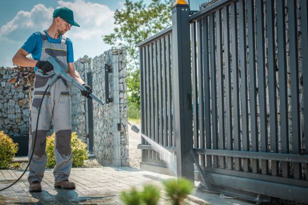 Best Driveway Pressure Washing  in Friendswood, TX