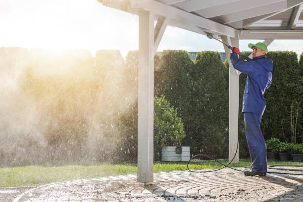 Best Dumpster Area Cleaning  in Friendswood, TX
