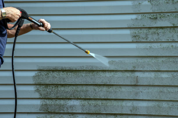 Best Gutter Cleaning  in Friendswood, TX